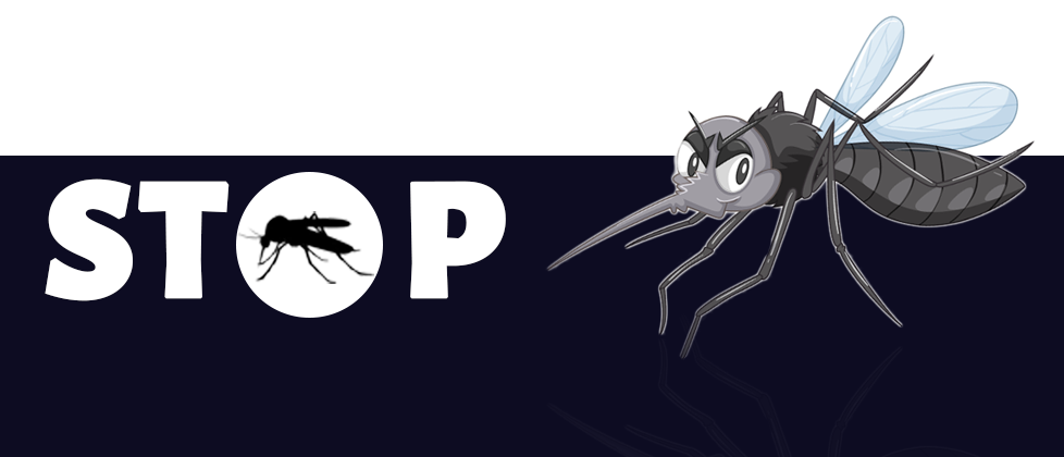how to prevent dengue mosquito from breeding