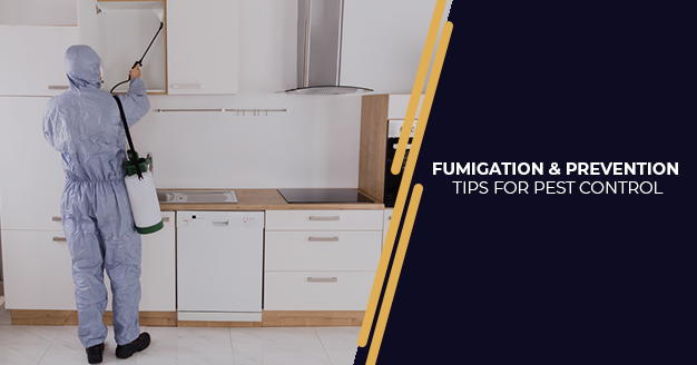 Fumigation & Prevention Tips For pest Control | orange-scorpion-822706.hostingersite.com