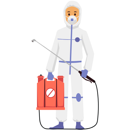 3 fumigation spray lahore