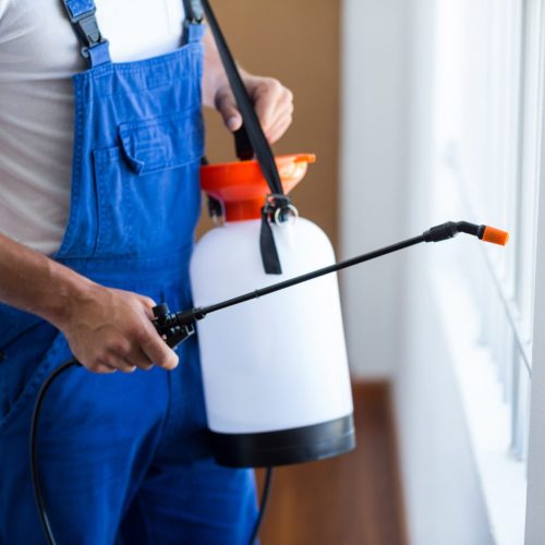 Midsection of pest control worker with sprayer 707027