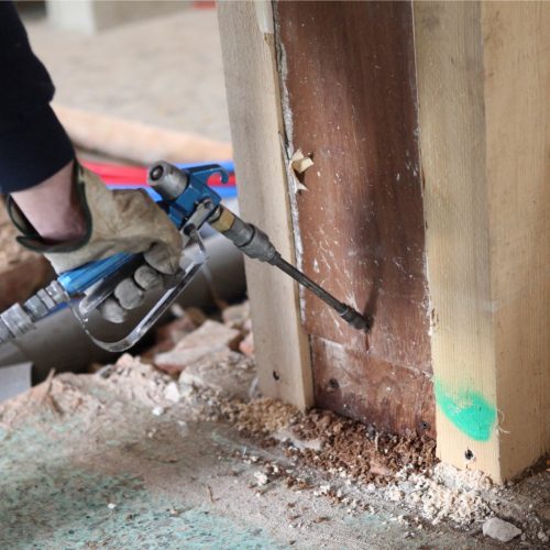 Termite Control Services in Lahore Termite Control Services in Lahore